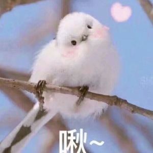 学生娇小性HD第一次
